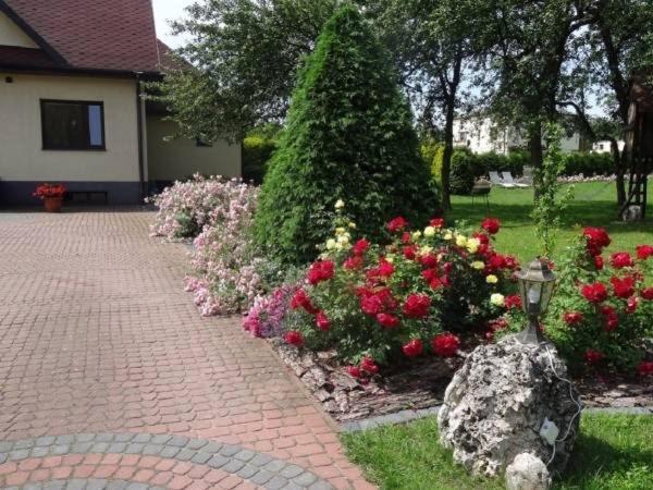 Skalny Apartamenty, Pokoje ออกรอเจียเนียซ ภายนอก รูปภาพ
